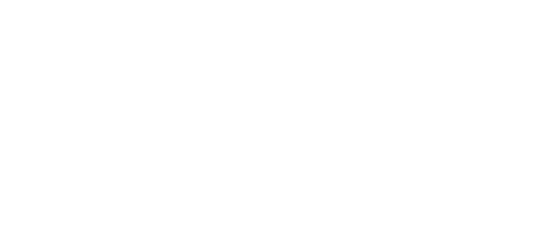 Black Stallion Investments